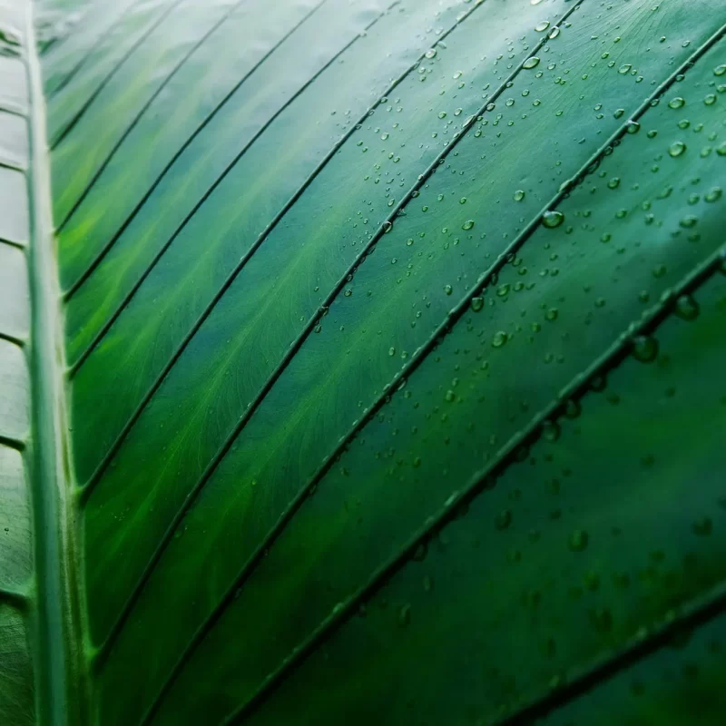 Versnellen verduurzaming kan alleen gezamenlijk