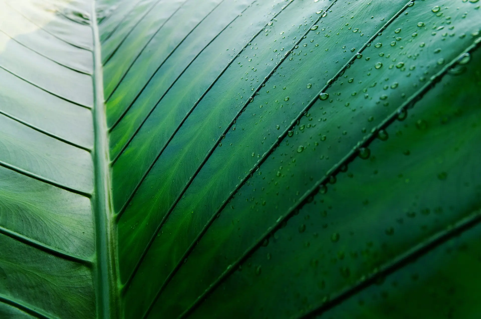 Versnellen verduurzaming kan alleen gezamenlijk
