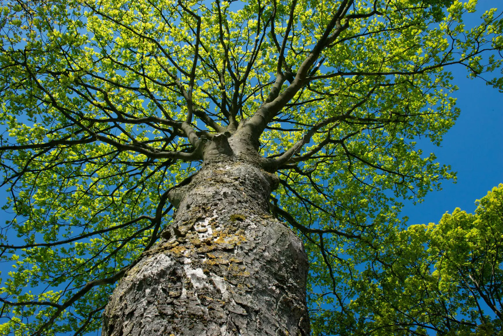 Stimuleer de adviseur om duurzaam te adviseren